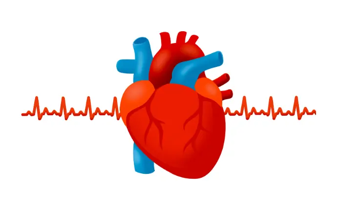 Cardiac regeneration Gentaur